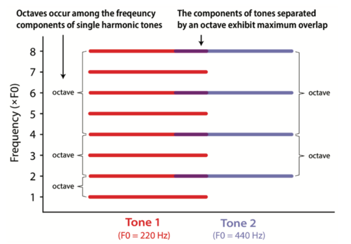 A diagram compares the harmonic frequency components of two tones an octave apart, highlighting how their overtones align and overlap.