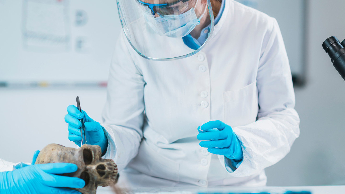 Ein Forscher untersucht im Labor menschliche Gebeine