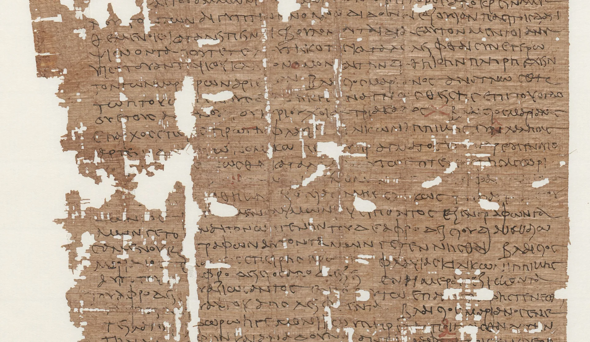 Foto eines Papyrus