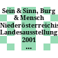 Sein & Sinn, Burg & Mensch : Niederösterreichische Landesausstellung 2001 [im Schloss Ottenstein & Schloss Waldreichs]